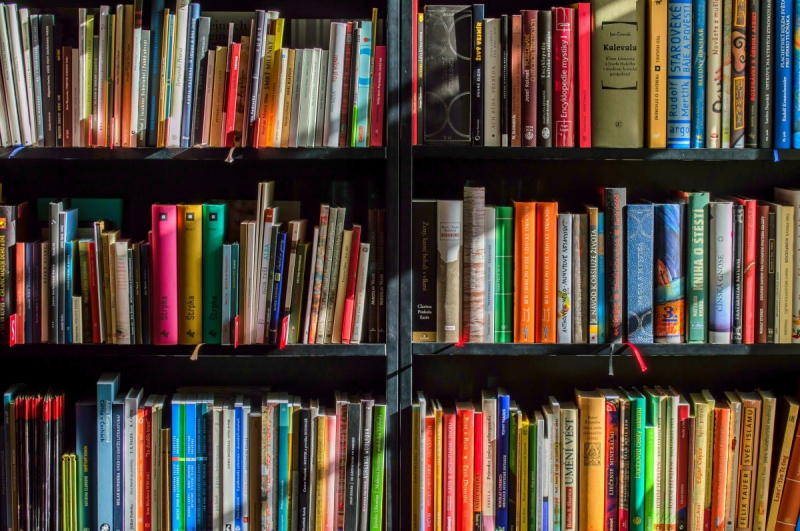 boutique-TOURRETTE LEVENS-min_books_bookstore_book_reading_shop_writer_sale_books_read-822866